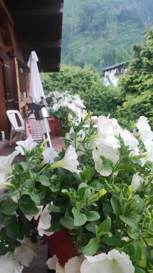 Tellahouse Hotel Chamonix ภายนอก รูปภาพ